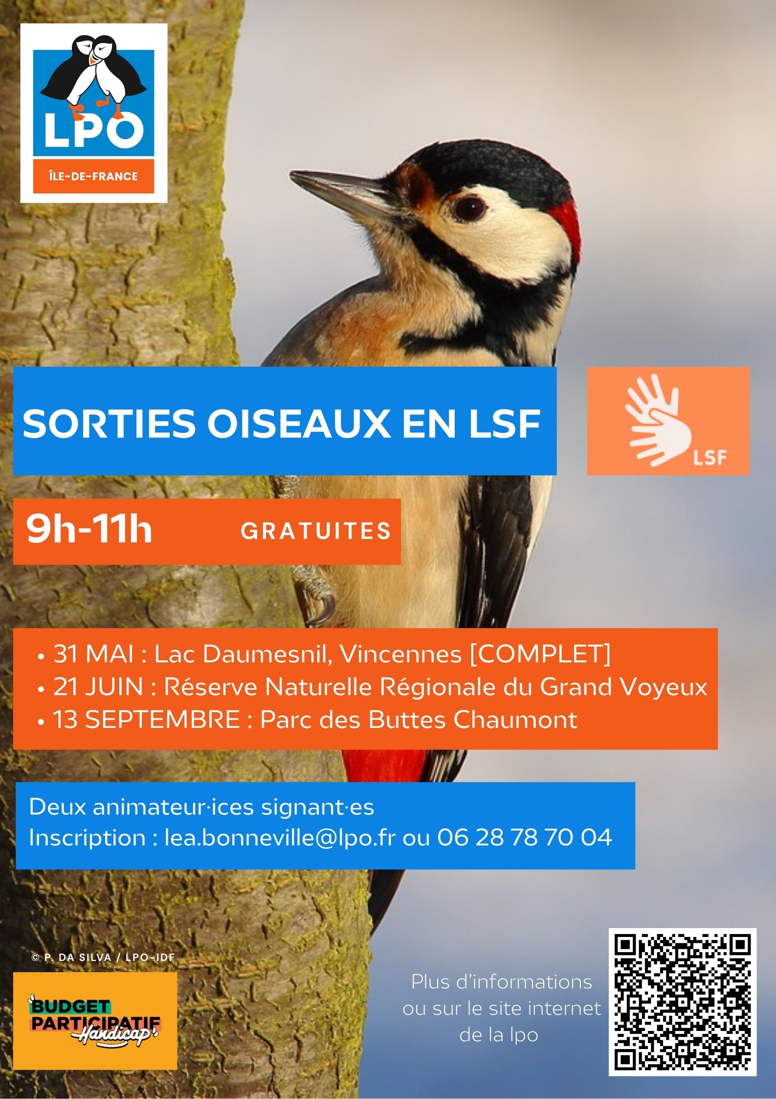 Des sorties ornitho en LSF